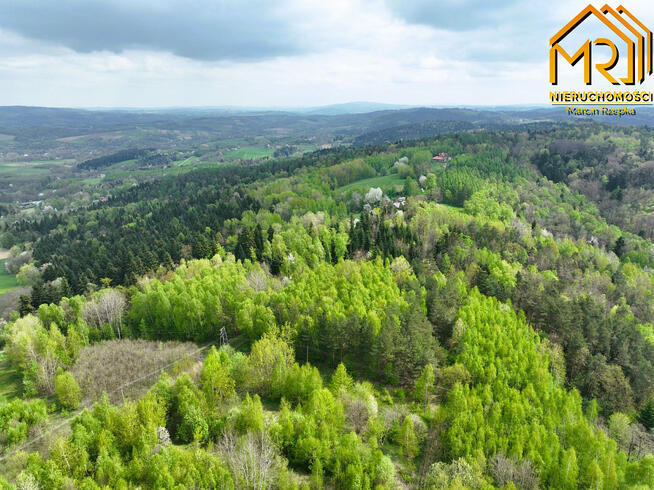 Działka rolno-budowlana Słona gm. Zakliczyn