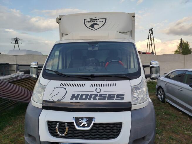 Sprzedam peugeot boxer do przewozu koni