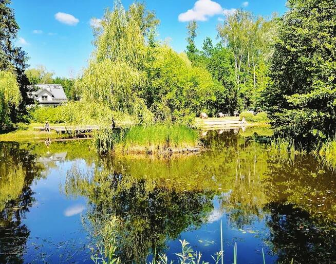 Szukanie wody żyły wodne