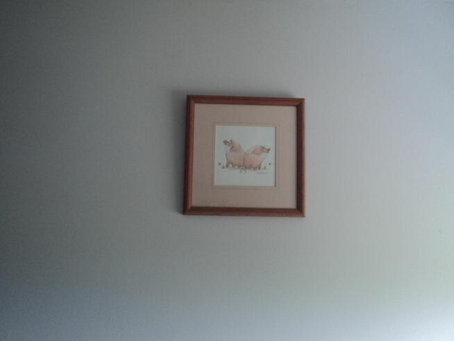 Świnie na wakacjach 31/31 cm papier. (kopia) w ramę 2 prace.