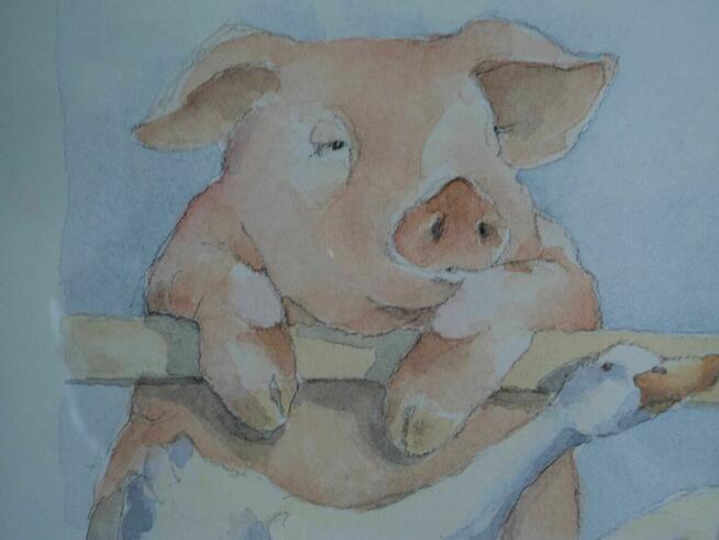 Świnie na wakacjach 37/57 cm papier( kopia) w ramę