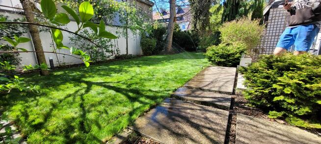 Uslugi ogrodnicze kompleksowo