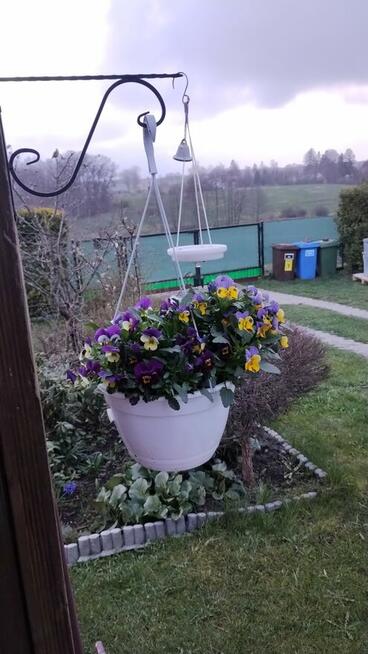 Sprzedam, bezczynszowe własnościowe Rezerwacja