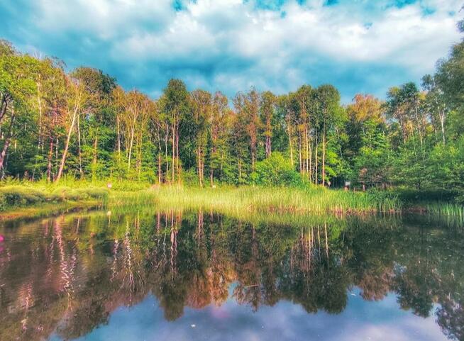 Szukanie wody żyły wodne
