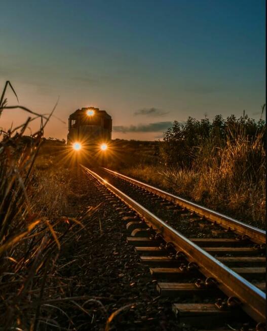 JAREX Spółka z ograniczoną odpowiedzialnością