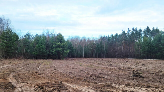 Sprzedam 1000 m2 Piskórka BUDOWLANA www.piskorka.pl