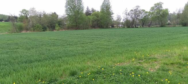 Działka budowlana 18,68 ar Błędowa Tyczyńska sprzedam