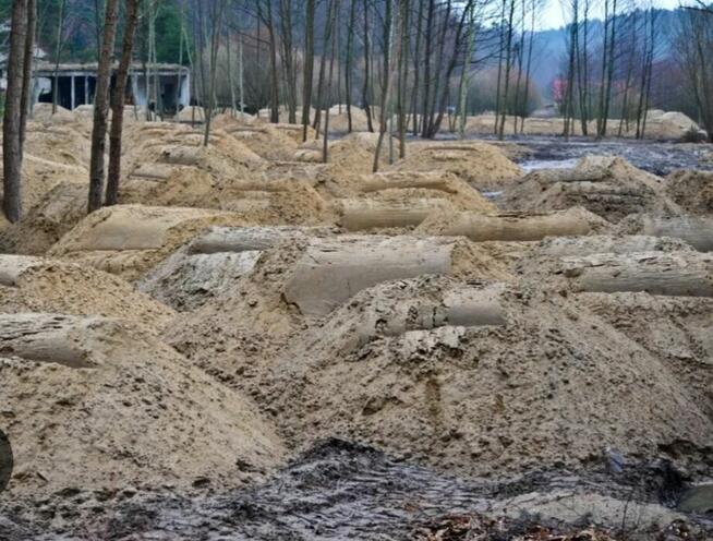 Rozbiórki i wyburzenia wyrównywanie terenu Koatko-ładowarka