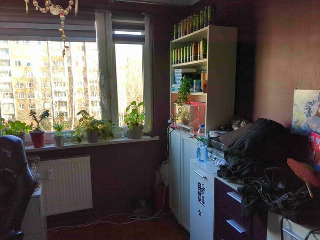 1/3 udziału w lokalu mieszkalnym - Warszawa, Czumy