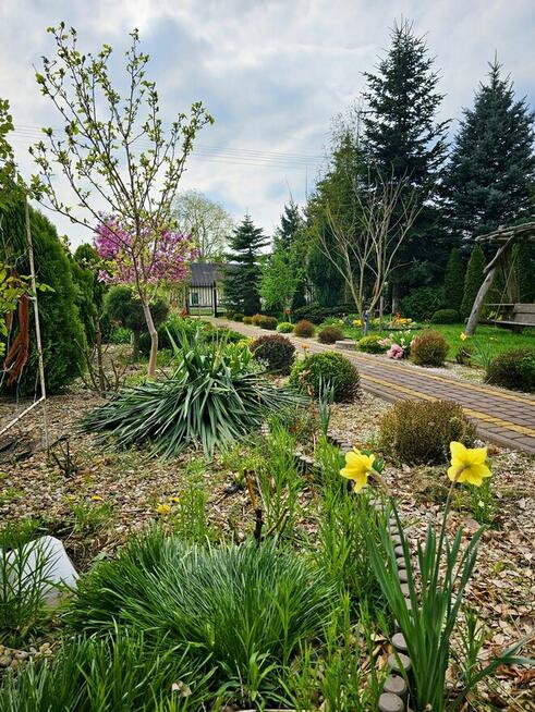 Dąbrowa - dom gotowy do zamieszkania blisko jezior