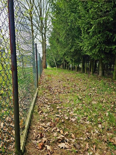 Dąbrowa - dom gotowy do zamieszkania blisko jezior