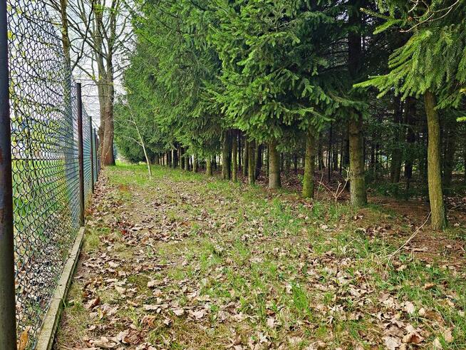 Dąbrowa - dom gotowy do zamieszkania blisko jezior