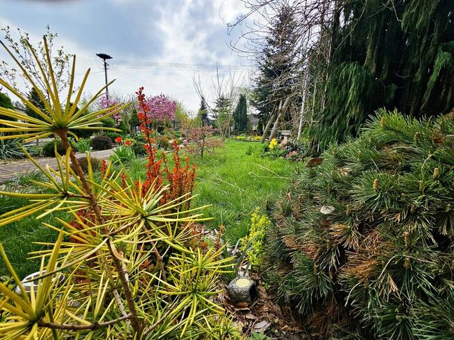 Dąbrowa - dom gotowy do zamieszkania blisko jezior