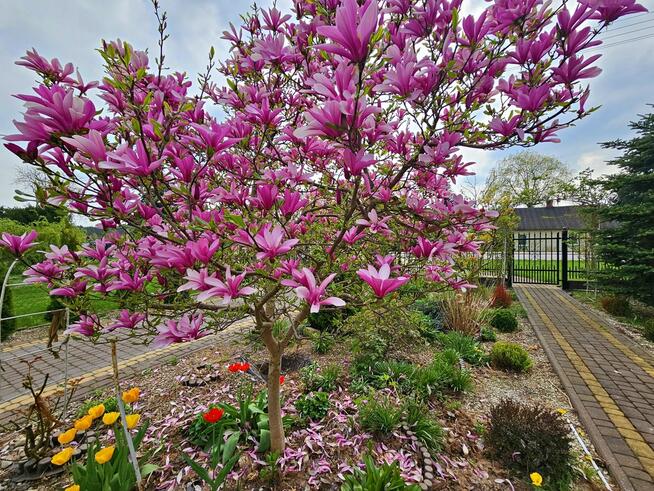 Dąbrowa - dom gotowy do zamieszkania blisko jezior
