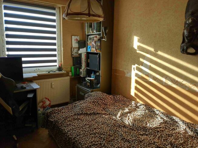 1/3 udziału w lokalu mieszkalnym - Warszawa, Czumy