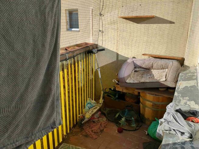 1/3 udziału w lokalu mieszkalnym - Warszawa, Czumy