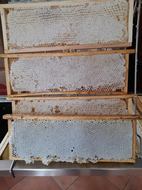 Miód z własnej pasieki