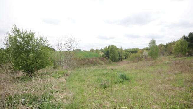 Duża działka rolna ok. 1 ha Jakubowice Konińskie