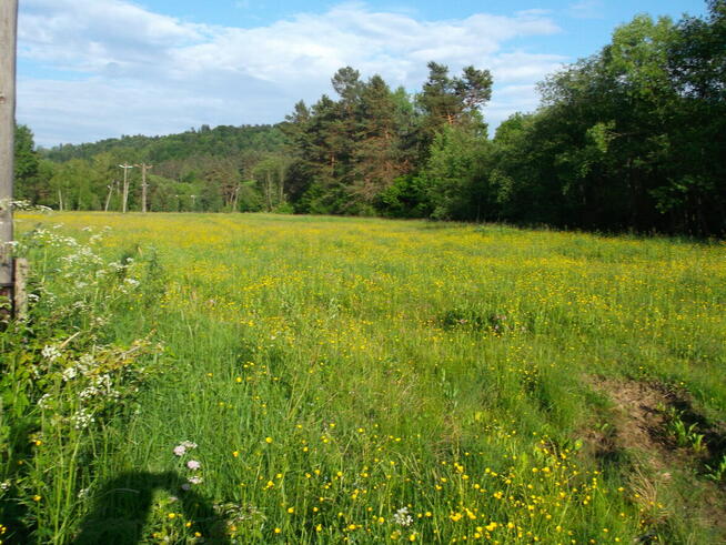 Sprzedam piękne działki Bieszczady