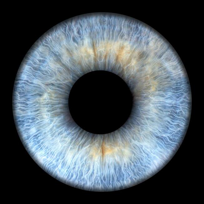 Artystyczna fotografia tęczówki, Galeria, Randka, Ewenty