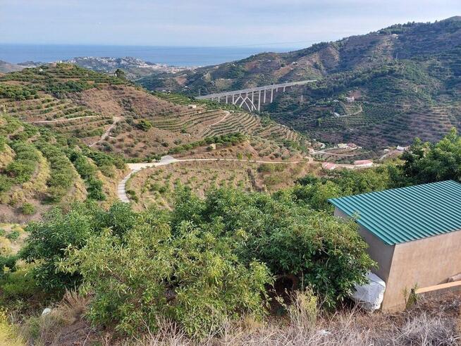 Hiszpania Granada. Sad avokado z domkiem wiejskim