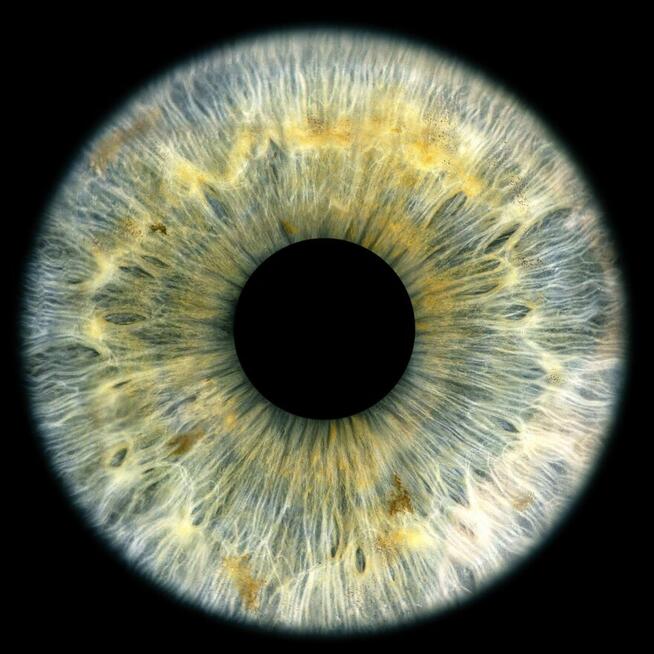 Artystyczna fotografia tęczówki, Galeria, Randka, Ewenty