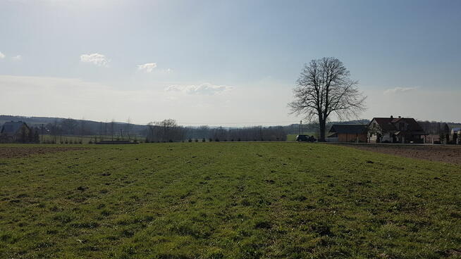 Działka budowlana Szalowa