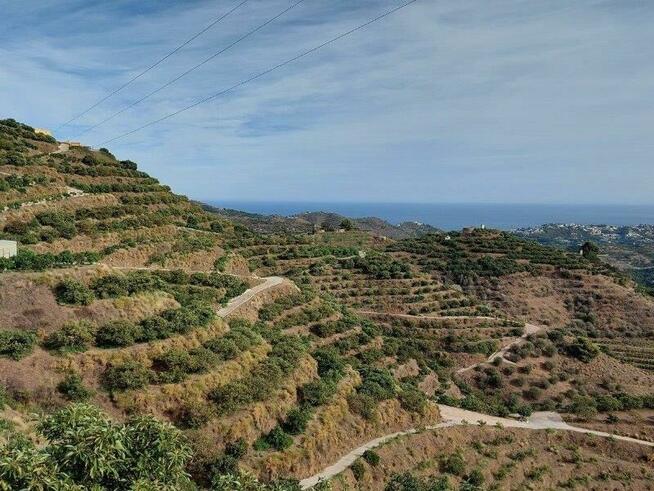 Hiszpania Granada. Sad avokado z domkiem wiejskim