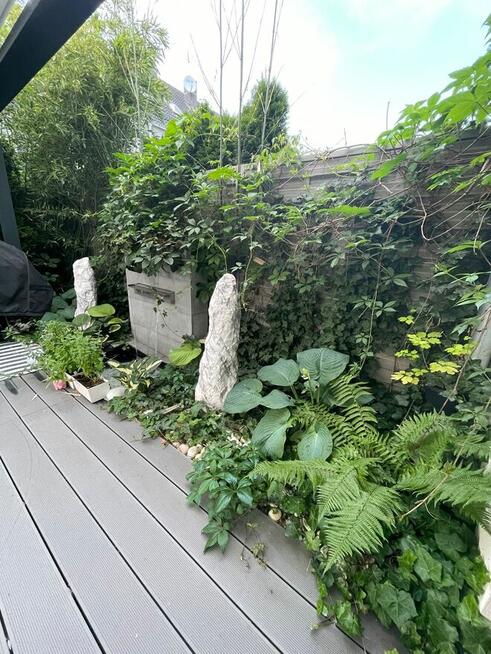 Modern house with jacuzzi