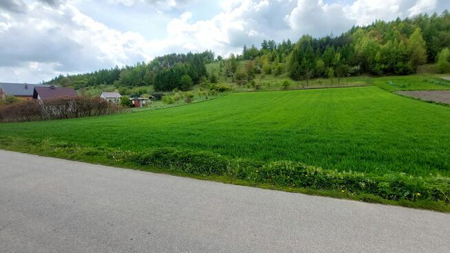 Atrakcyjna działka budowlana z prywatnym lasem