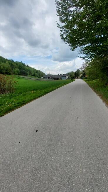 Atrakcyjna działka budowlana z prywatnym lasem