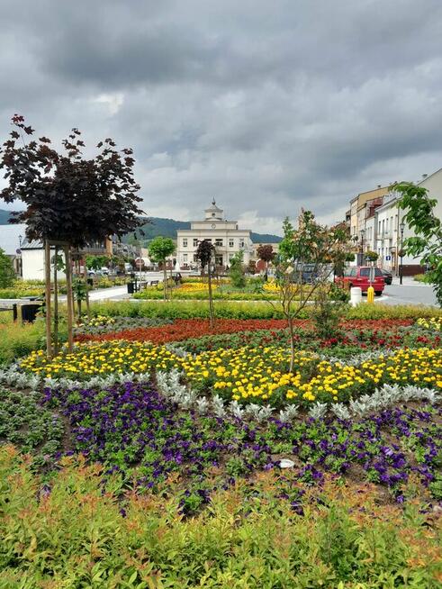 Atrakcyjnie położony Pensjonat w Górach, wynajmę na dłużej.