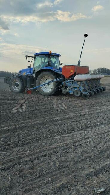 uprawa bezorkowa Usługi siew kukurydzy