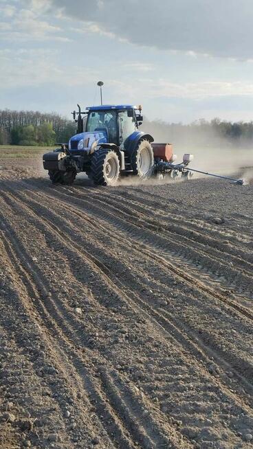 uprawa bezorkowa Usługi siew kukurydzy