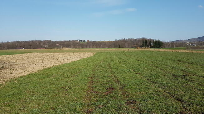Działka budowlana Szalowa