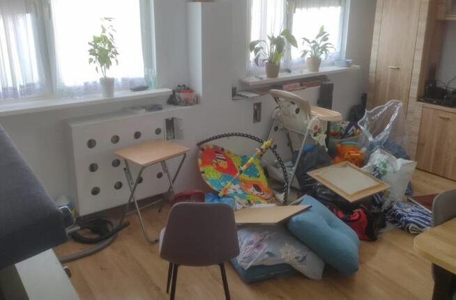 Usuniecie pluskwy, zabieg 3w1 jedyny na Śląsku.