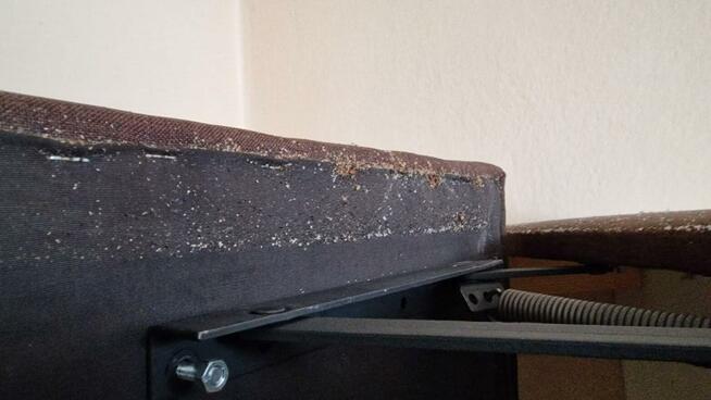 Dezynsekcja pluskiew, usuniecie karaluchów, usługi DDD Śląsk