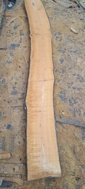 brusy czereśnia grusza