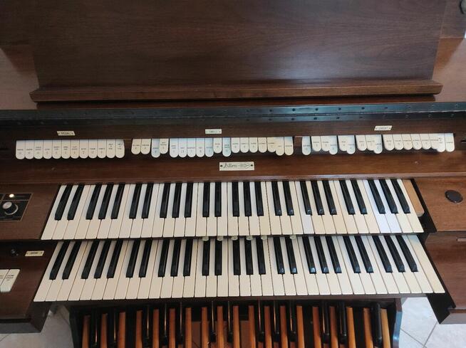 Organy kościelne Allen