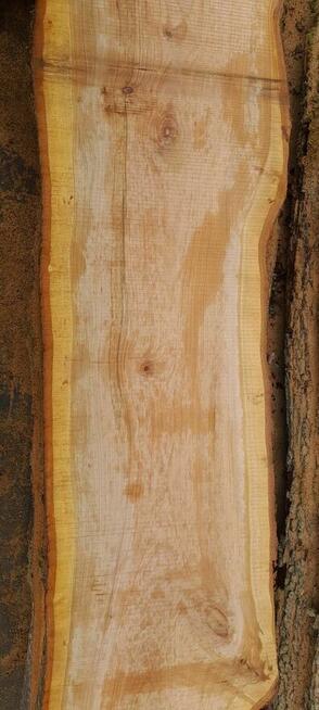 brusy czereśnia grusza