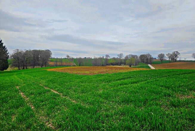 Działka na wzgórzu z niepowtarzalnymi widokami