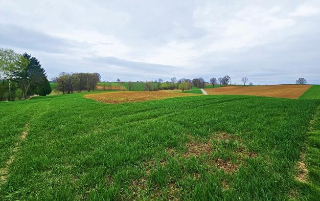 Działka na wzgórzu z niepowtarzalnymi widokami