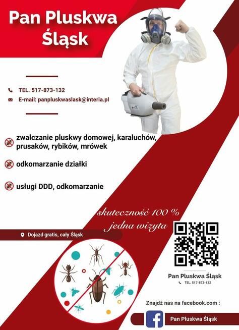 Dezynsekcja pluskiew, usuniecie karaluchów, usługi DDD Śląsk
