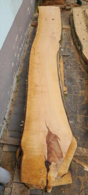 brusy czereśnia grusza