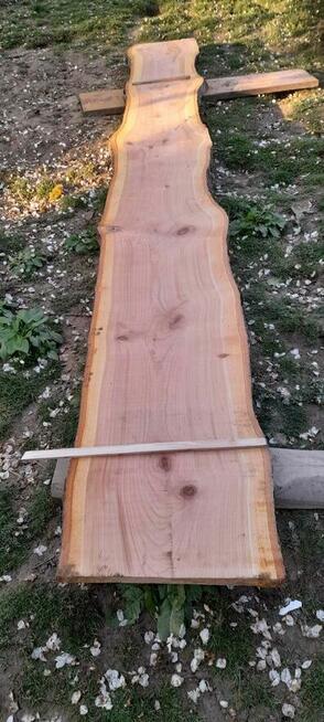 brusy czereśnia grusza