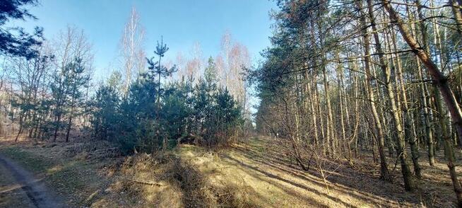 Zakrzewo Kościelne / rekreacja/ 90km Warszawa Lódź