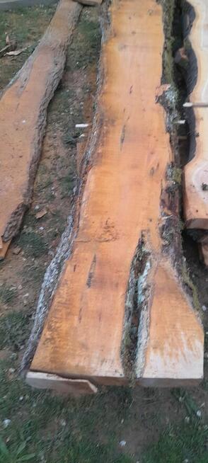 brusy czereśnia grusza