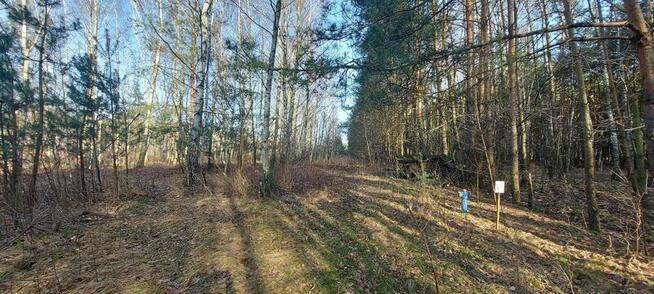 Zakrzewo Kościelne / rekreacja/ 90km Warszawa Lódź