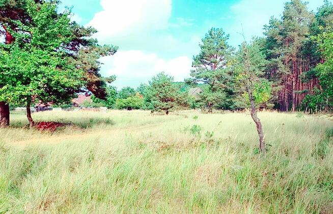 Działka z WZ 760m2 Piasek gm. Cedynia, las, rzeka Odra