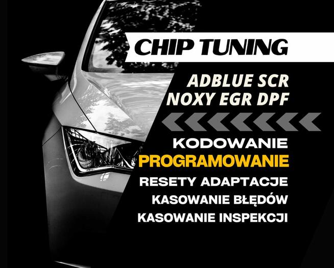 Adblue EGR DPF SCR Kasowanie Usuwanie Wyłączanie Komputerowe